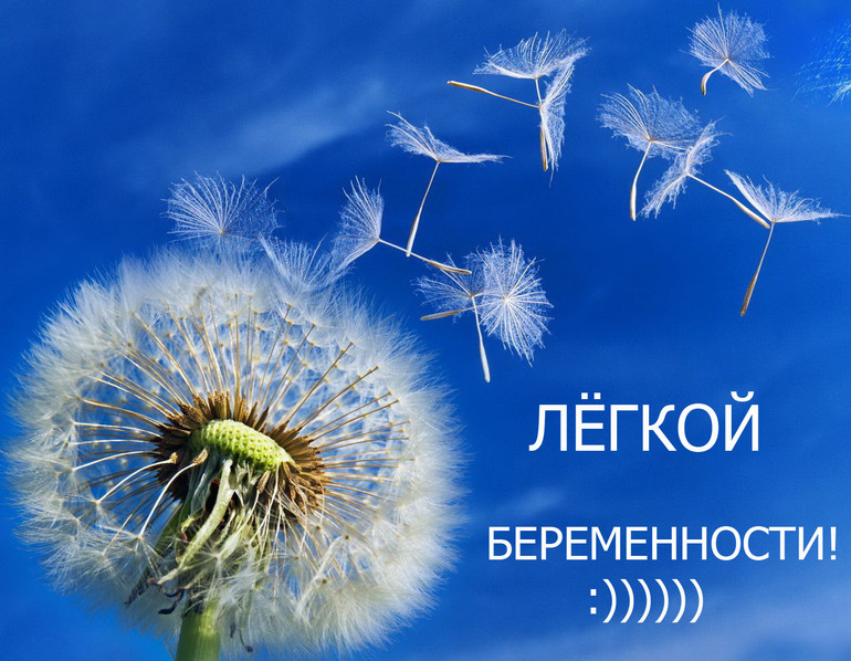 0171b93f3caaee2a0e2ba1244dc1facc.jpg
