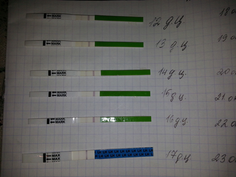 Девочки,посмотрите мои тесты на О !!!!