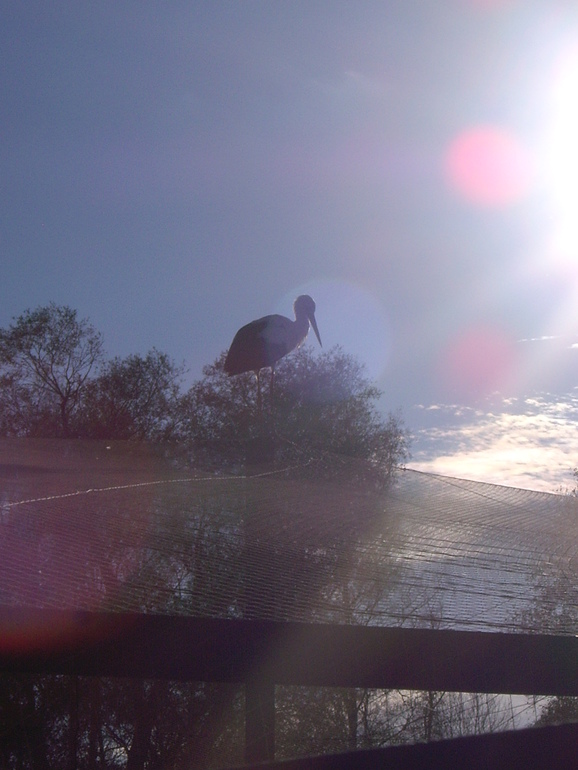 Выходной по-семейному)))