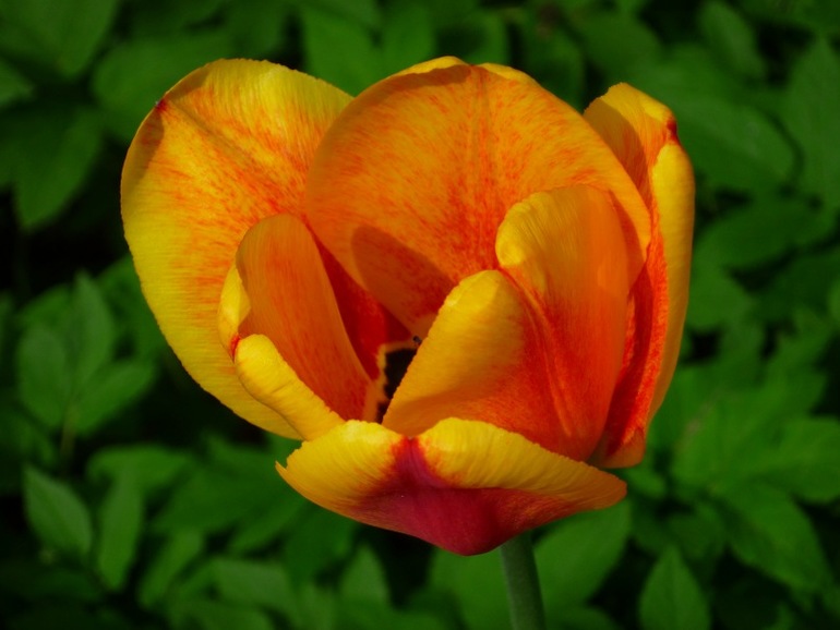 dc7dbafbd43963b2155be74a475540b0.jpg
