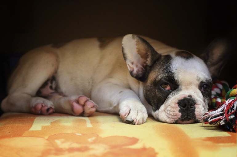 Наши мальчишки