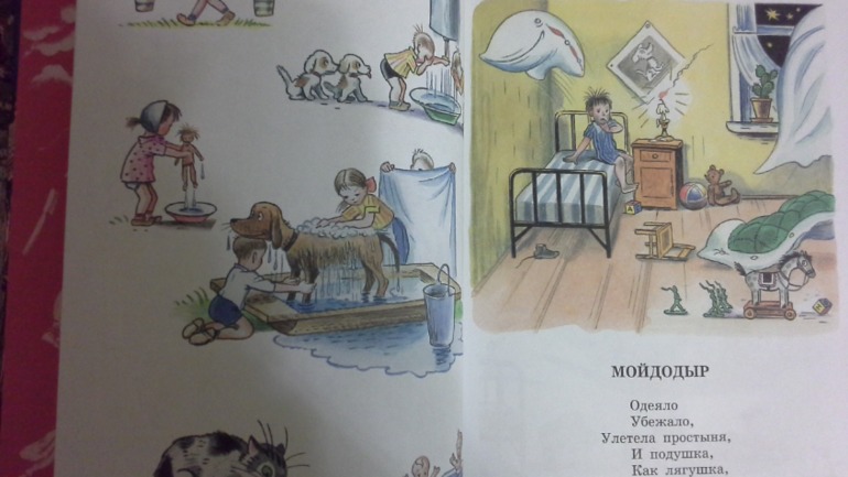 Наше декабрьское пополнение!!!