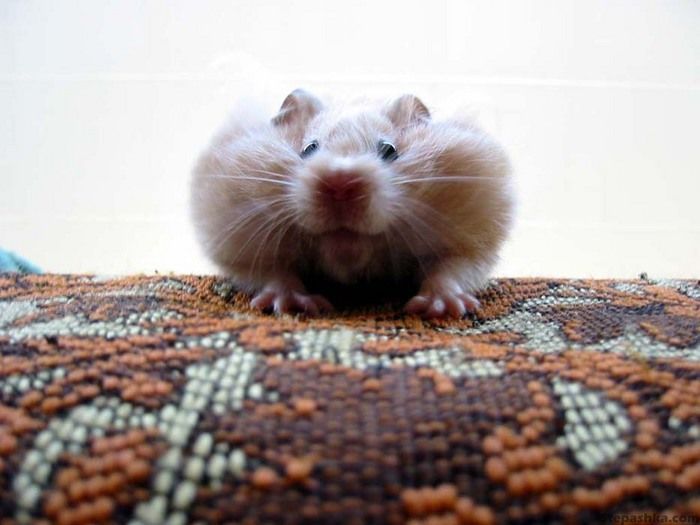 И снова стишок про нас))))))