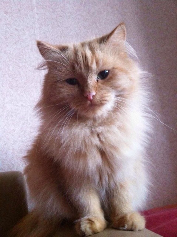 И я поделюсь)))