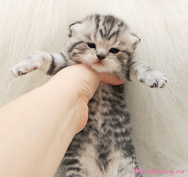 А вот и первые фоточки