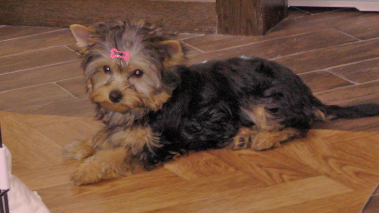 Помогите разобраться!