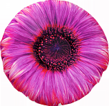 Мнушка - антистрессовая подушка!! ЗАКУПКА ОТКРЫТА!!