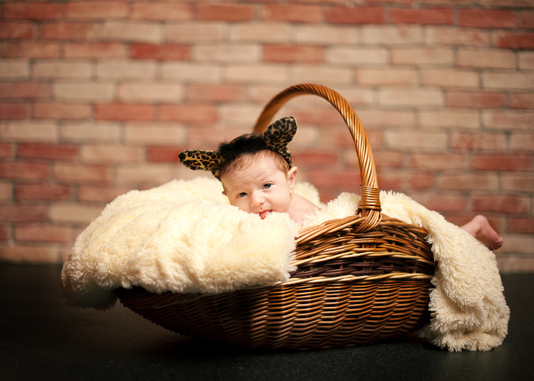 Федор , уже 2 месяца - фотографировала недавно в студии )))