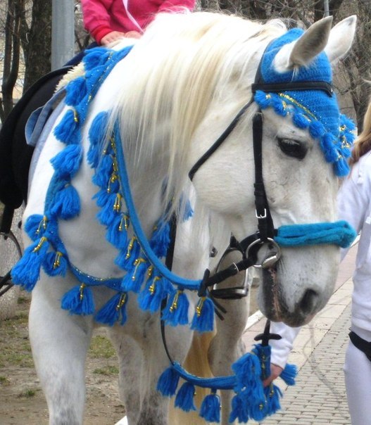 Пони Лошади Ослик на ваш праздник