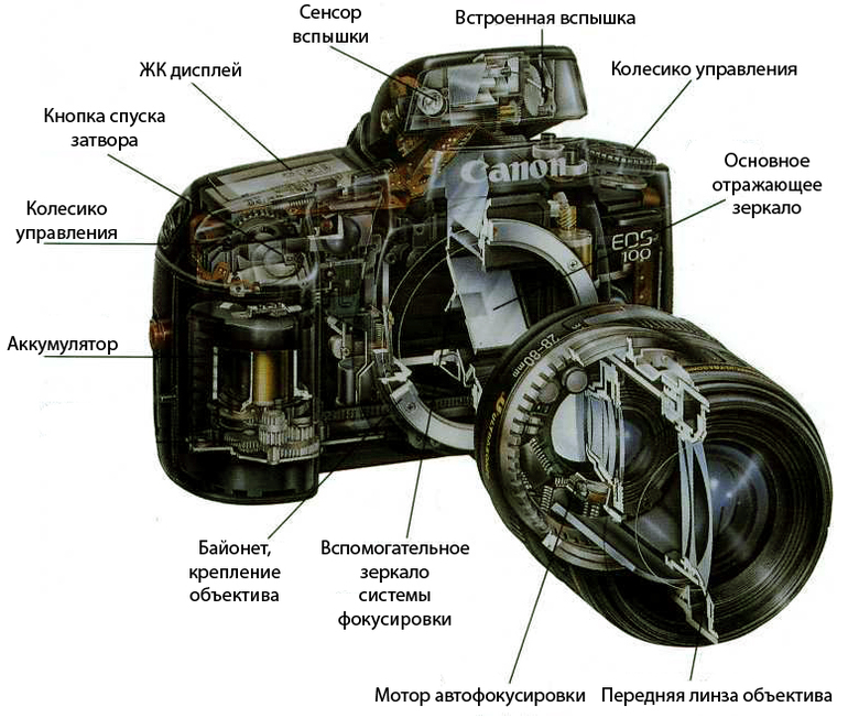 Мастер-класс по фототехнике. Как и что выбрать. Устройство камеры.