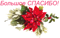 33cc1edf101208d95fe2cf1f0f50b7f1.gif