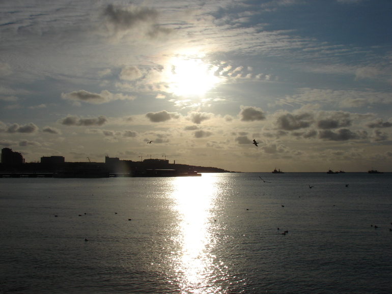 ea60a149fdff0c06b08dbdd9ddc9897f.jpg