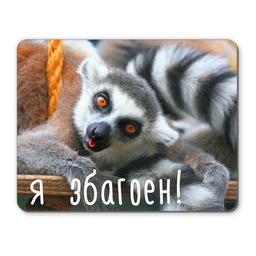 объясните мне, это че за новая мода?)))))