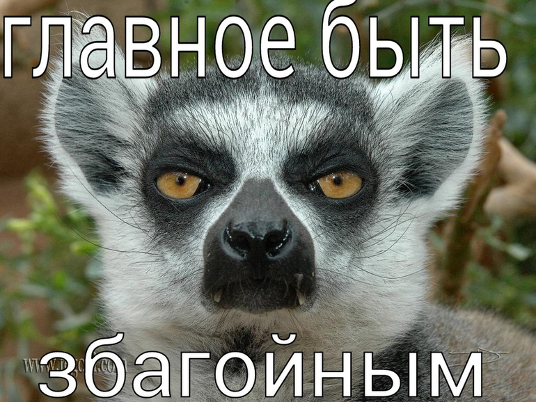 объясните мне, это че за новая мода?)))))