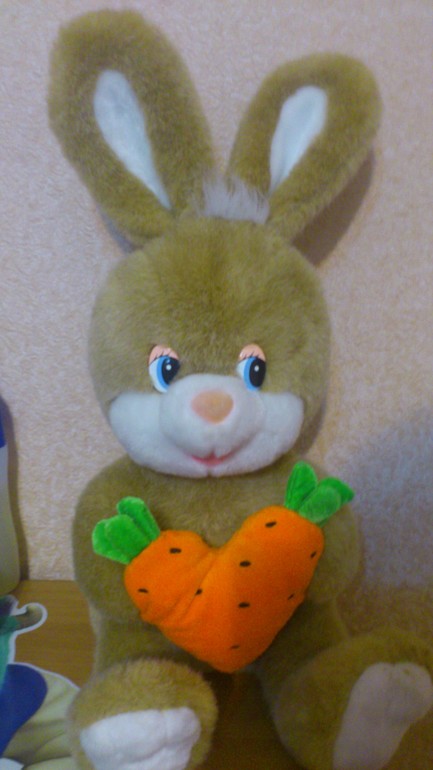 Пираты и на годик с зайкой и мишкой)