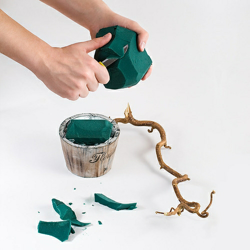 мандариновое дерево