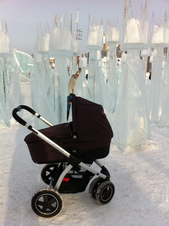 Жили были коляски: Мурка, Минька, Заппик и Бишка