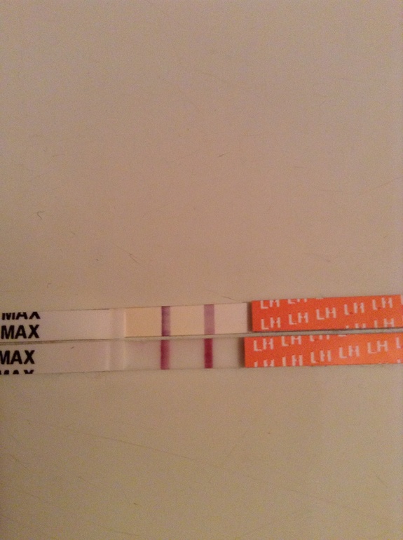 Что же делать?продолжение.