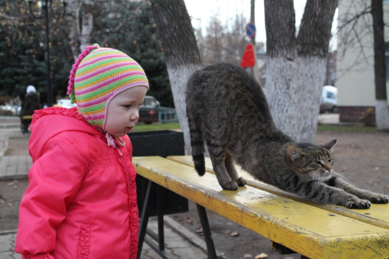 Шапочка на осень
