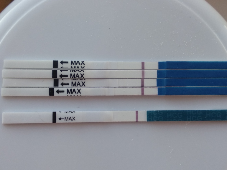 10 день после овуляции тест