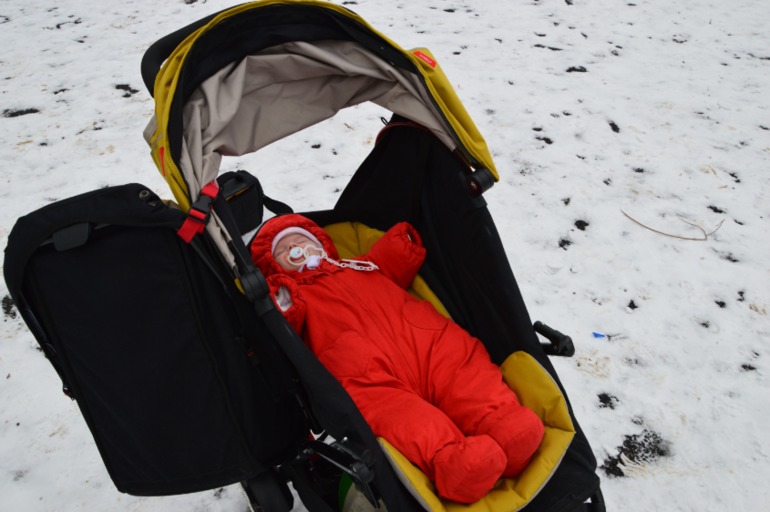 Купила коляску Phil and Teds Navigator (фото в реале)