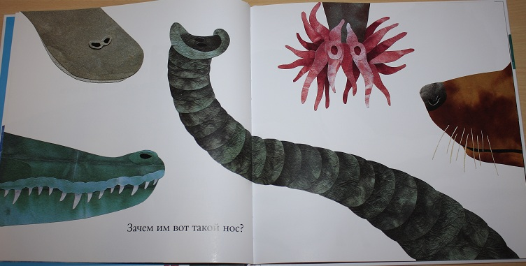 Про не только хвосты, носы и уши ))