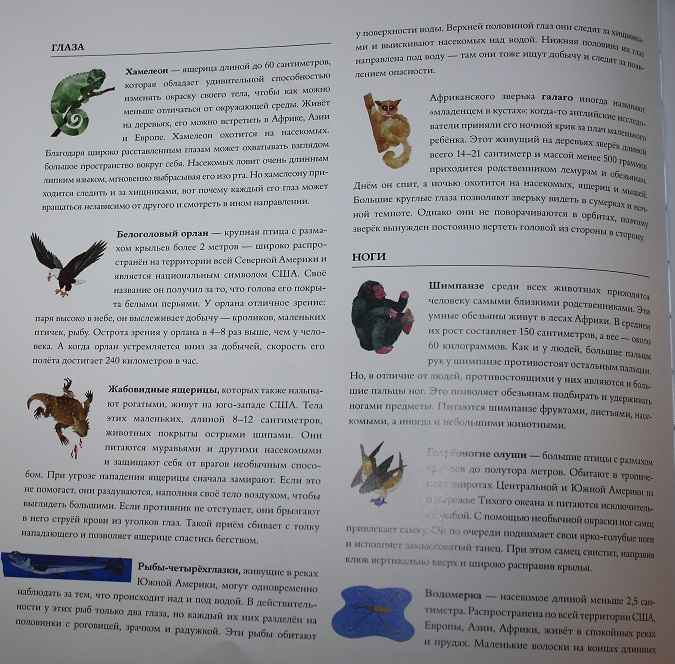 Про не только хвосты, носы и уши ))