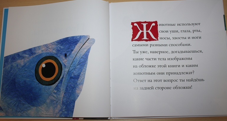 Про не только хвосты, носы и уши ))