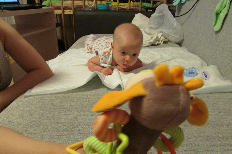 Крошка-Ярошка)))))