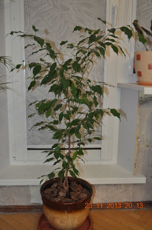 Новенькая в ваших рядах ))) Хвалюсь и жалуюсь