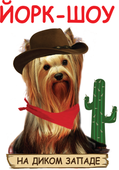 Кто нибудь собирается на ЙОРК ШОУ 28-29 сентября?