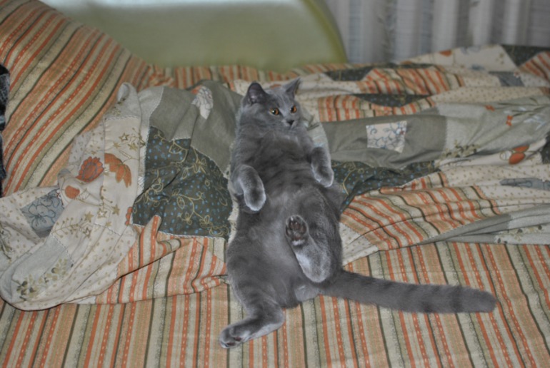 Я с вопросом