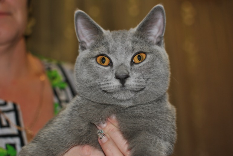 Я с вопросом