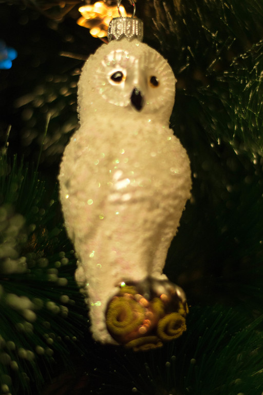 Мы тоже нарядили елочку