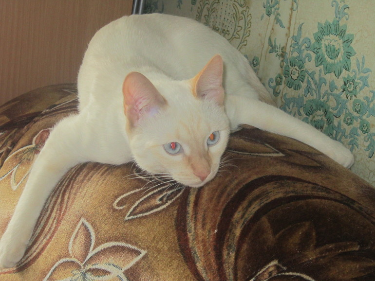 Наш выбражалка. Только фото.Много фото.