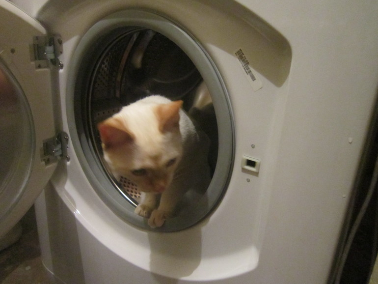 Наш выбражалка. Только фото.Много фото.