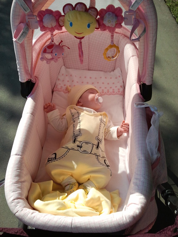 красавица Ceba