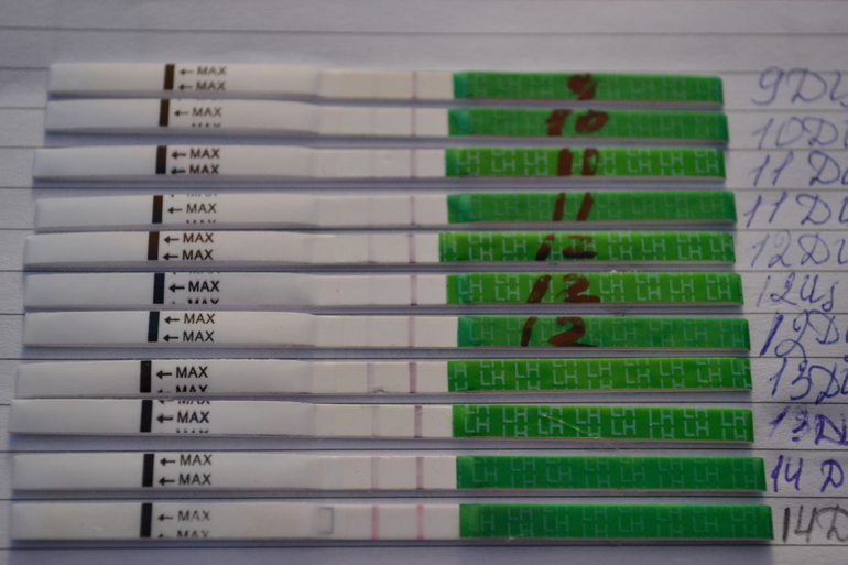 Девчули она родимая ОВУЛЯ?Подскажите?