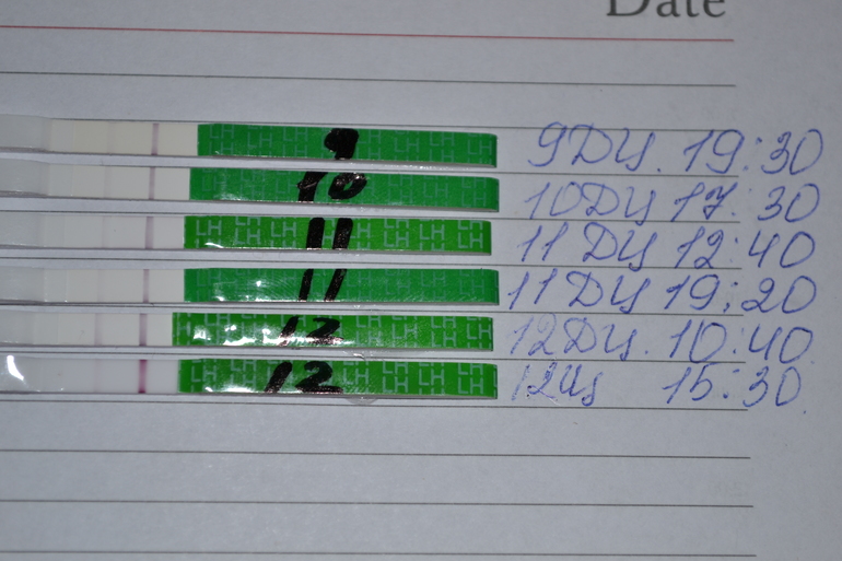 ОВУЛЯ ЭТО ТЫ?