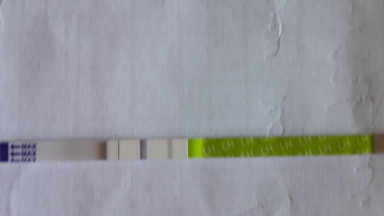 df4801ec96b5f5bb2256393345ab12b0.jpg