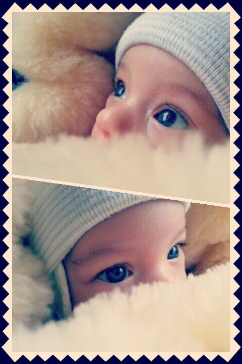 Меховые конверты Monsito