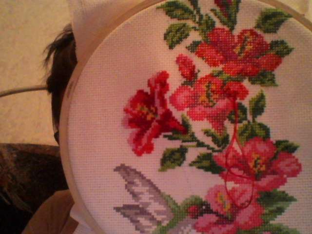 Птичка моя))