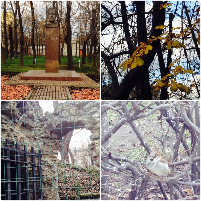 Беременным надо больше гулять!