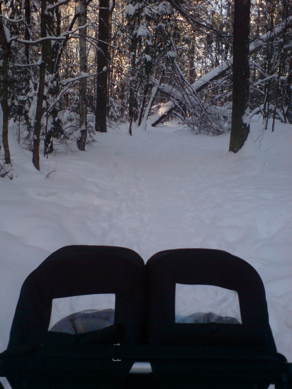 Лыжи для коляски . Как мы откатали прошлую зиму .