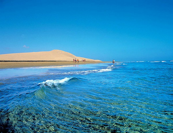 Подборка лучших туров 4 ноября. Испания: Канарские о-ва, Барселона.