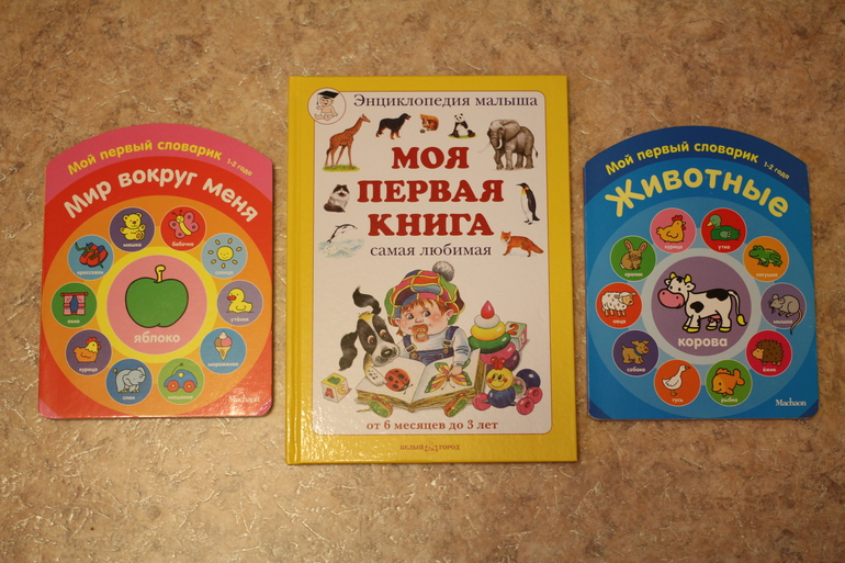 Первый заказ через Лабиринт - 20 книг (8256г)