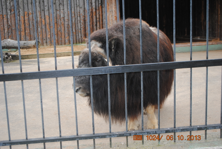 Закрытие летне-паркового сезона)