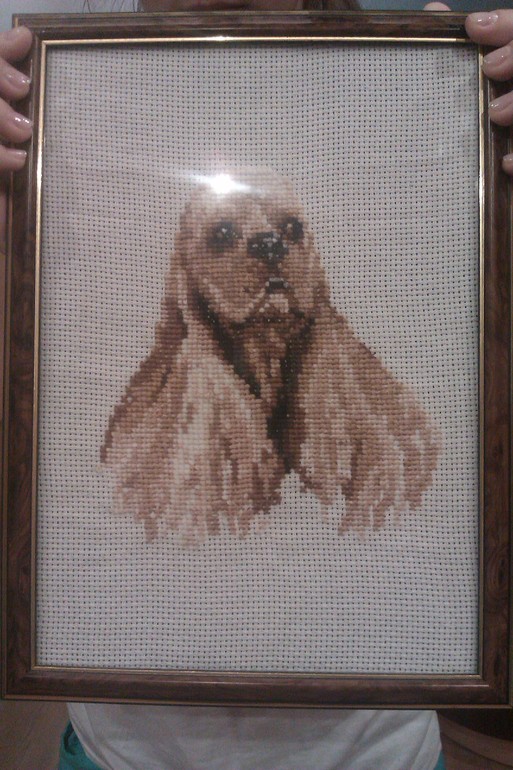 Принимайте новичка))))