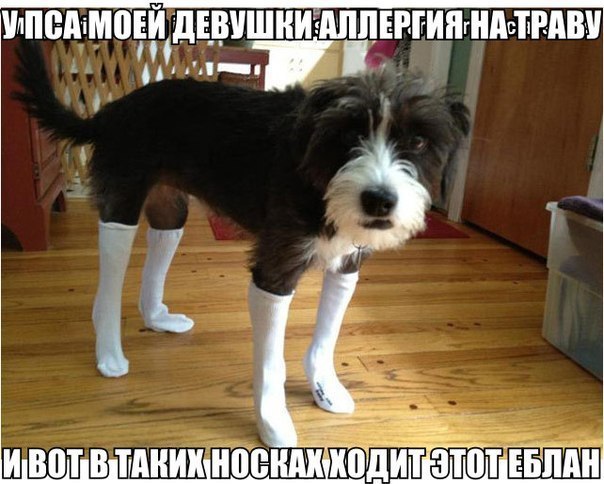 Минутка улыбки)5 шт.