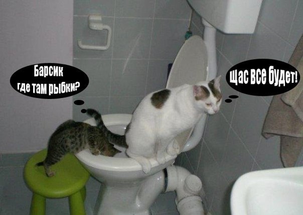 Минутка улыбки)5 шт.